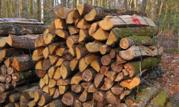 Bois de chaffauge livré ou à prendre sur place