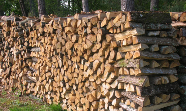 Accueil  Bois de chauffage - Le bois de la Caltière