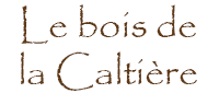 Bois de la Caltière - Bois de chauffage